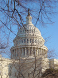 U.S. Capital Building